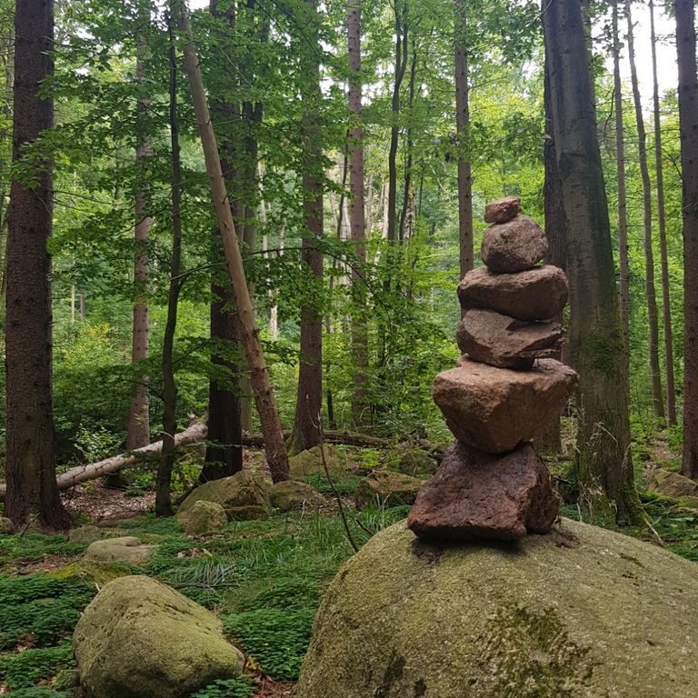 Ein sorgfältig gestapelter Steinturm auf einem großen Felsen im Wald. Die ruhige, grüne Umgebung strahlt Harmonie und Balance aus.