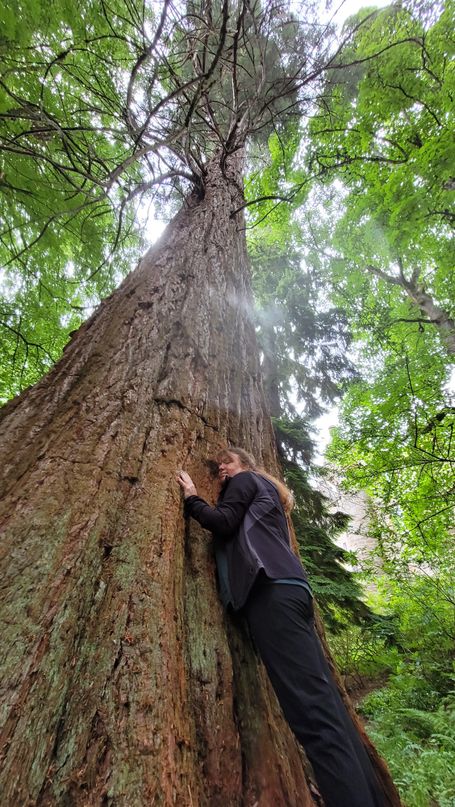 Eine Frau umarmt mit geschlossenen Augen einen Baum und spürt die Kraft und Ruhe aus der Natur 