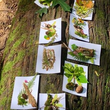 Waldbaden und Naturerfahrung in Dresden